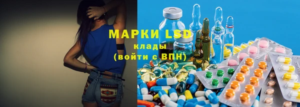 ешки Аркадак