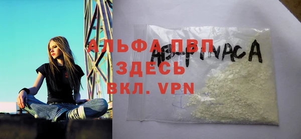ешки Аркадак