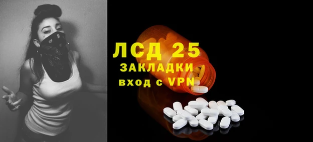 ешки Аркадак