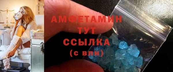 ешки Аркадак