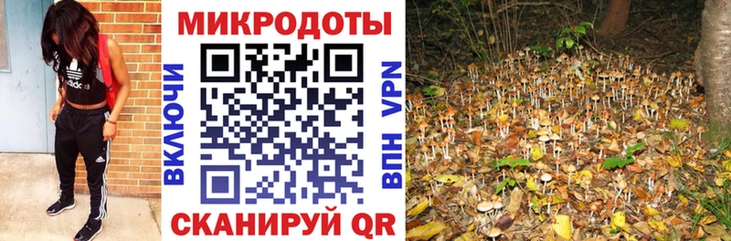 Галлюциногенные грибы GOLDEN TEACHER  omg вход  Таруса 
