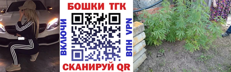 Бошки Шишки конопля  купить наркотик  Таруса 